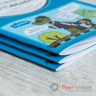 Брошюры (каталоги)